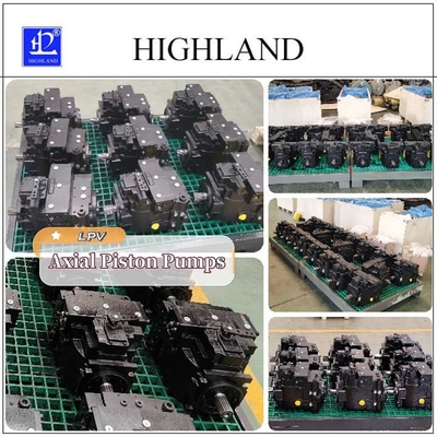 Hydraulic Transmission Principle Hydraulic Piston Pumps In Plywood Case