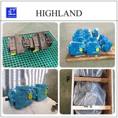 Custom Design Highland Tandem Hydraulic Pumps Cast Iron