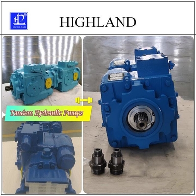 1 Year Cast Iron Tandem Hydraulic Pumps with Black Or Blue Color