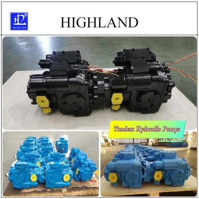 1 Year Cast Iron Tandem Hydraulic Pumps with Black Or Blue Color