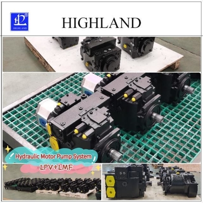Hydraulic Motor Pump System with Cast Iron Material Customized
